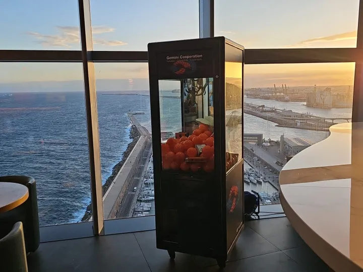 Máquina de gancho con bolas naranjas en un evento con vistas al mar